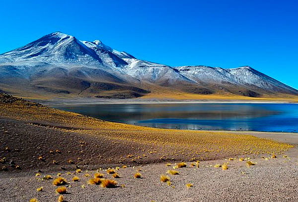 Tour Lagunas Altiplánicas Andes Travel