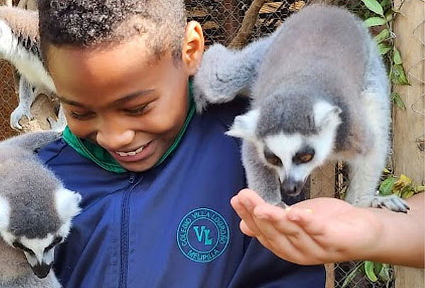 Tour guiado para 1 persona con animales en Huellitas