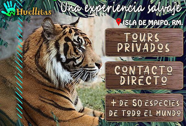 Tour guiado para 1 persona con animales en Huellitas