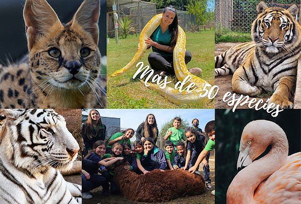 Tour guiado para 1 persona con animales en Huellitas