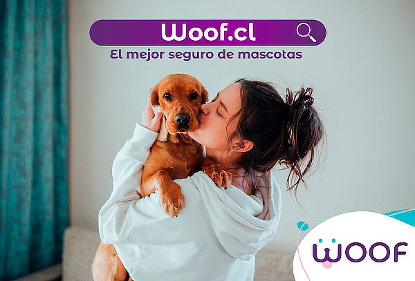 Asegura a tu mascota con Woof!