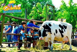 Entrada a Granja Educativa Lonquen