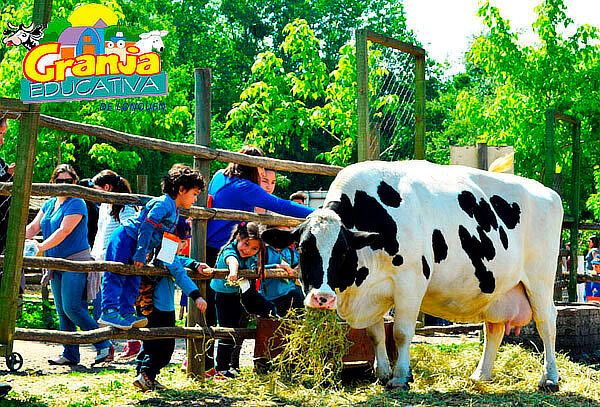 Entrada a Granja Educativa Lonquen