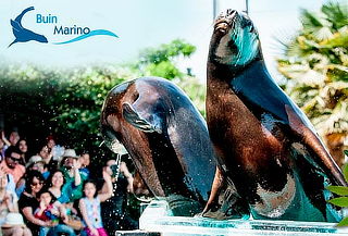 Entrada general Buin Marino en Bioparque BuinZoo