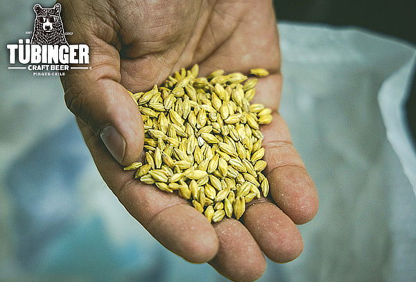 Tour Cervecería Tubinger + Regalo pack cerveza TUBINGER
