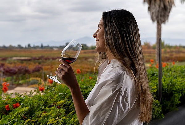 Tour Vino y Sabores en Viña MontGras