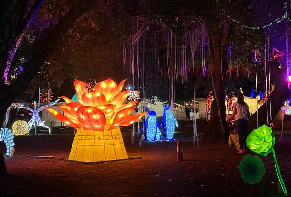 Entrada general Fesiluz, Parque Padre Hurtado