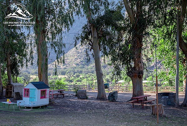 Parque los Peumos: Entrada a Piscina de horario a elección