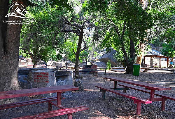 Parque los Peumos: Entrada a Piscina de horario a elección