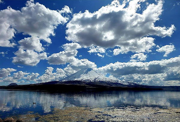 Full Day Arica - Parque Nacional Lauca - Lago Chungara