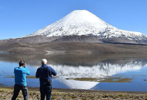 Full Day Arica - Parque Nacional Lauca - Lago Chungara