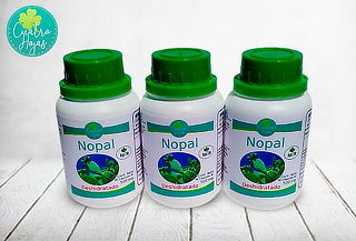 Pack 3 Frascos Nopal Deshidratado 90 Capsulas de 500mg
