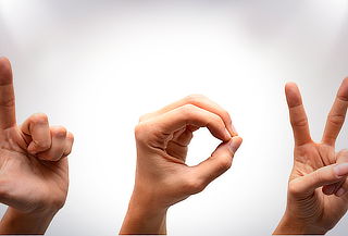 Curso Online de Comunicación en Lengua de Signos
