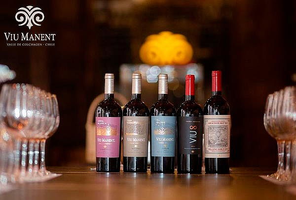 Tour Vinos de Lujo para 1 persona en Viña Viu Manent