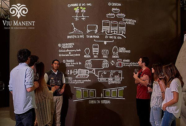 Tour Vinos de Lujo para 1 persona en Viña Viu Manent