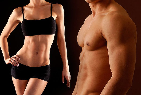 Dieta de Las Grasas, Tratamiento Online