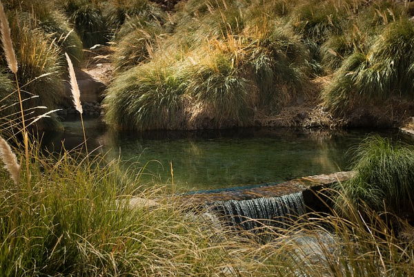 Ruta de los Salares 