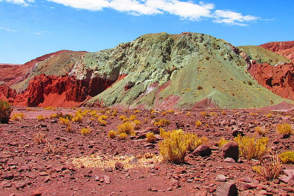 Ruta de los Salares 