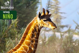 Entrada Bioparque Buinzoo para Niño Martes a Domingo Entrada Bioparque Buinzoo para Niño Martes a Domingo