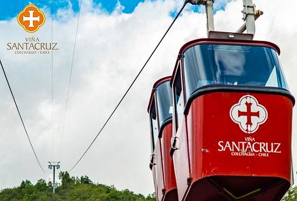 Tour de vinos íconos y premium en Viña Santa Cruz