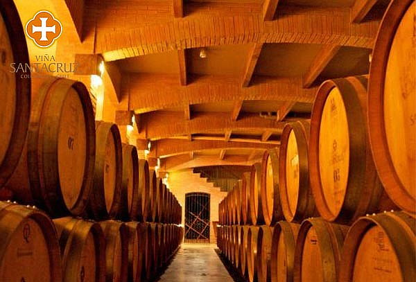 Tour de vinos íconos y premium en Viña Santa Cruz