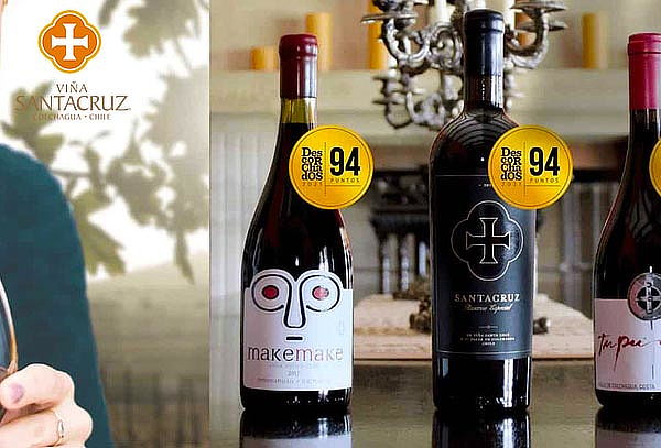 Tour de vinos íconos y premium en Viña Santa Cruz