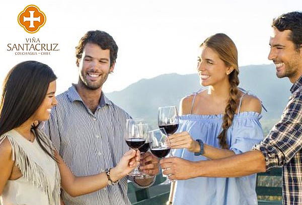Tour de vinos íconos y premium en Viña Santa Cruz