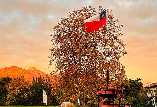 WineTour + Degustación Viña Santa Catalina