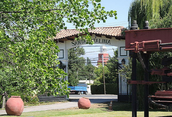 WineTour + Degustación Viña Santa Catalina