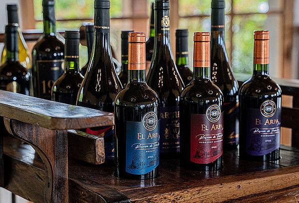 WineTour + Degustación Viña Santa Catalina