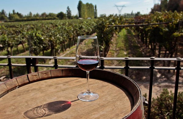 WineTour + Degustación Viña Santa Catalina