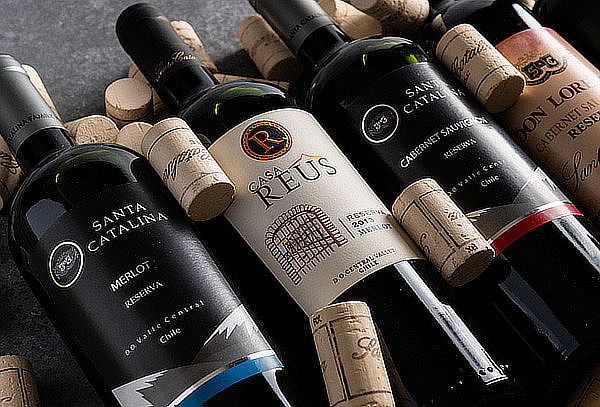 WineTour + Degustación Viña Santa Catalina