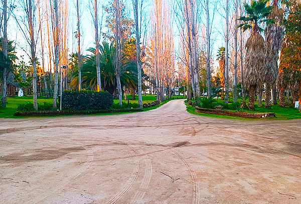 Full Day, Escápate al Hotel Jardín del Lago!  