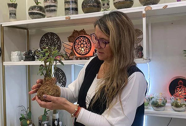 Taller Kokedamas: Crea tu propio jardín colgante Japonés