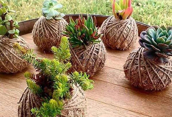 Taller Kokedamas: Crea tu propio jardín colgante Japonés