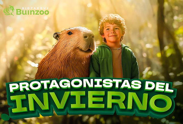 Entrada Vacaciones de Invierno Bioparque BuinZoo: 22/06