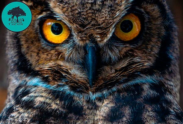 Entrada Niños Exhibición Santuario de fauna nativa 