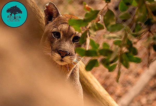 Entrada Sábado Exhibición de fauna nativa en Refugio Animal 