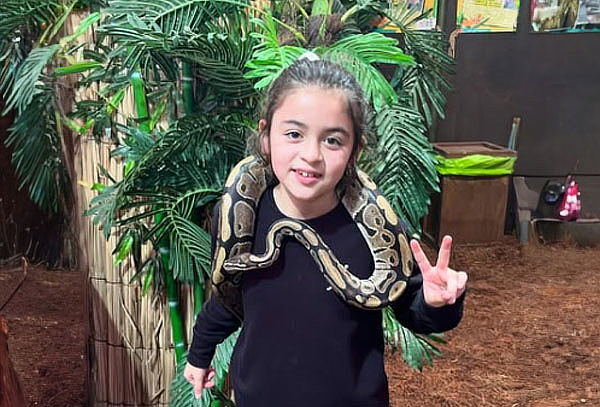 Una experiencia única, Selva Viva en la Serena 