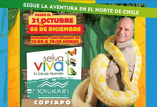 Una experiencia única, Selva Viva en Parque Kaukari, Copiapó