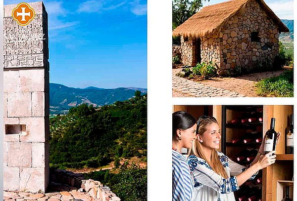 Tour de vinos Gran Chamán + Teleférico Viña Santa Cruz