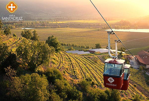 Tour de vinos Gran Chamán + Teleférico Viña Santa Cruz