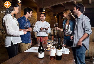 Tour de vinos Gran Chamán + Teleférico Viña Santa Cruz Tour de vinos Gran Chamán + Teleférico Viña Santa Cruz