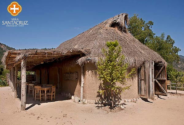 Tour de vinos Gran Chamán + Teleférico Viña Santa Cruz