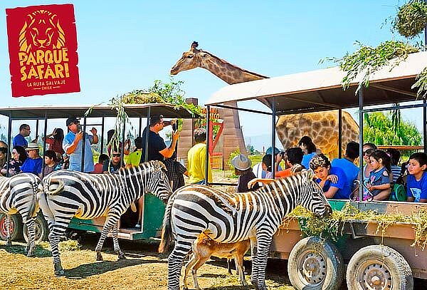Entrada General+Safari Felinos+Herbívoros Martes a Domingo