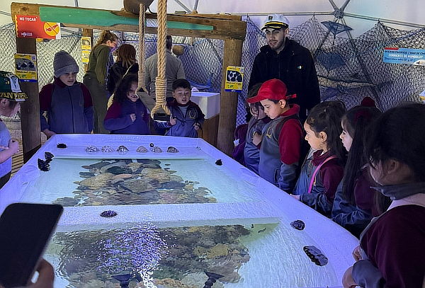 Entrada Acuario Vivamar de martes a domingo 