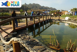 Entrada Acuario Vivamar de martes a domingo 