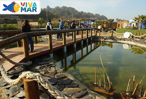 Entrada Acuario Vivamar de martes a domingo 