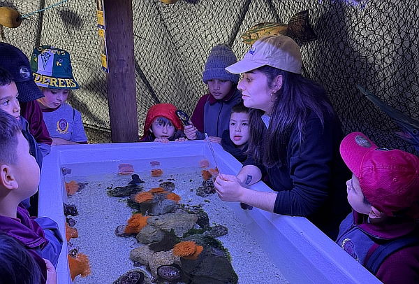 Entrada Acuario Vivamar de martes a domingo 