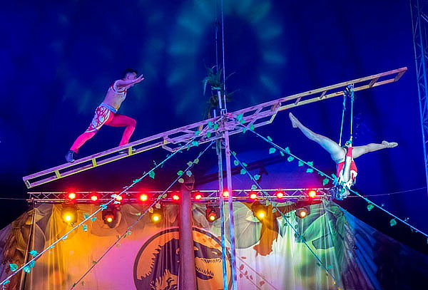 Circo de Dinosaurios!  Pack de 2 Entradas Lunes a Jueves